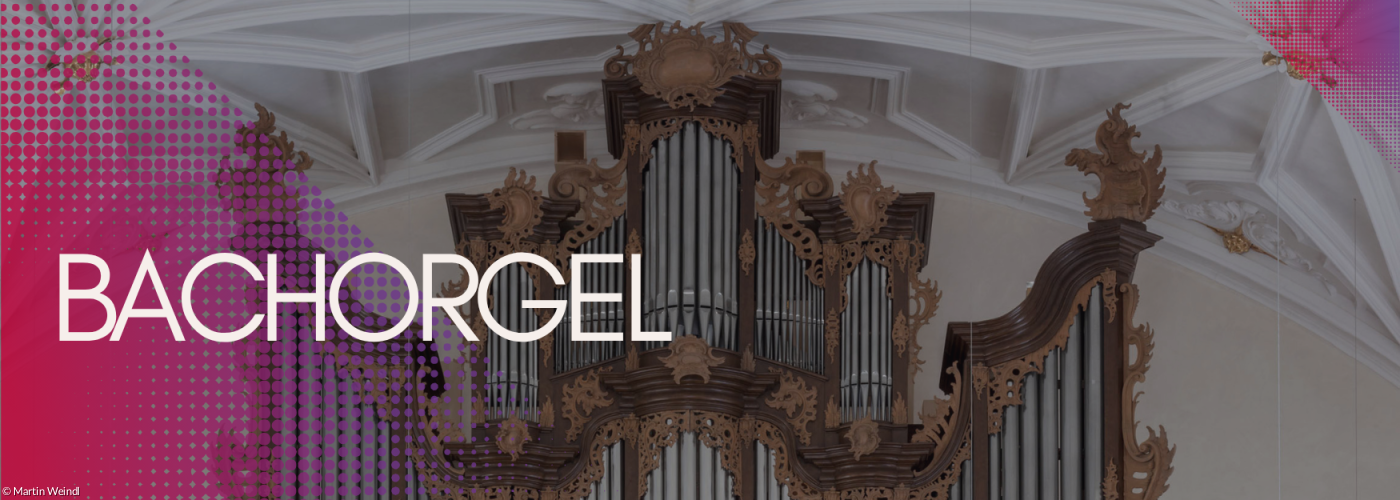 Die Bachorgel der unter einer Stuckdecke in der Dreieinigkeitskirche.