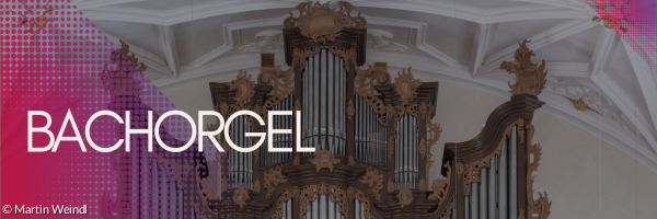 Die Bachorgel der unter einer Stuckdecke in der Dreieinigkeitskirche.