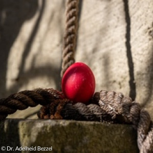 Ein rotes Osterei gefunden
